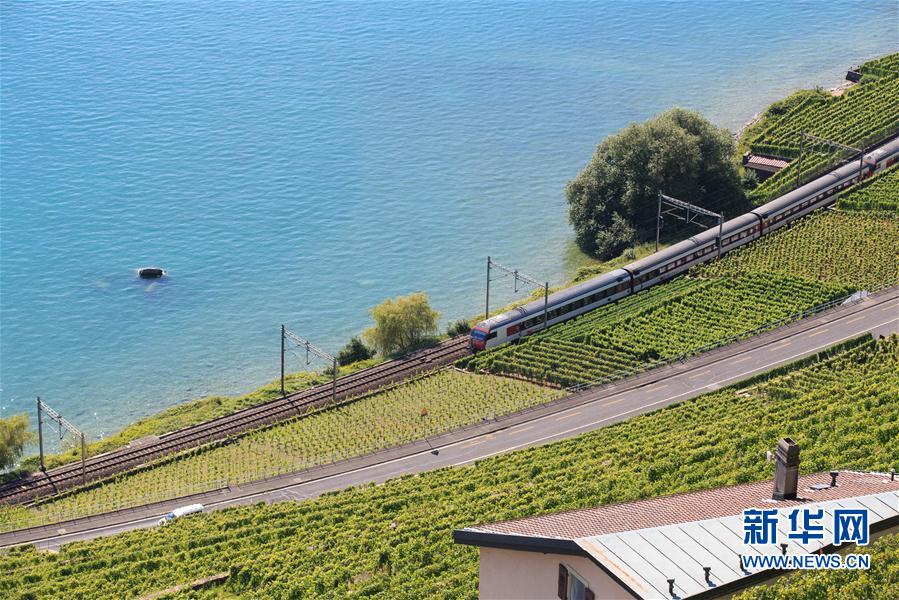 （國(guó)際）（1）瑞士拉沃夏之韻