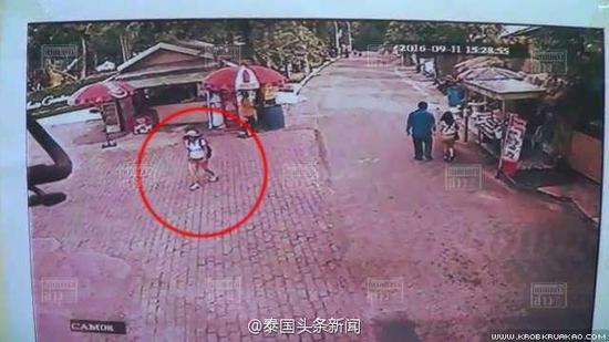 中国女游客在泰国老虎园失踪