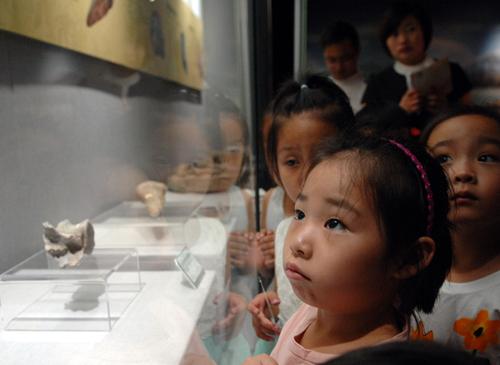 “重返侏罗纪”上演 快来宁波港口博物馆看恐龙