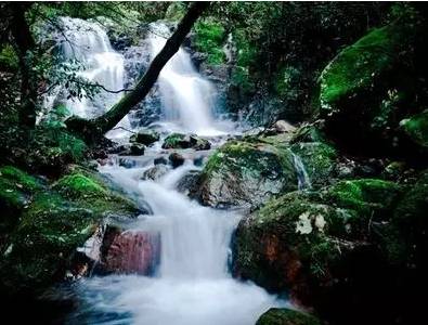 浙江"十大名山""十大峡谷"等名单出炉,你去过几处