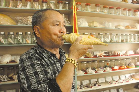 台州老渔民收藏了300多枚海螺 希望开个展览室