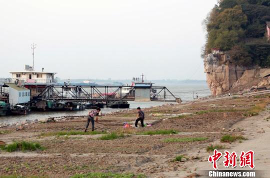 中国最大淡水湖跌破枯水位：湖岸变菜地渔民弃船上岸