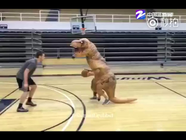 恐龙竟然也会打篮球！