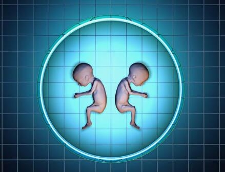 “转胎丸”能改变胎儿性别?当心致畸_新蓝网