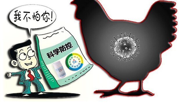 浙江今年已报告23例h7n9禽流感病例 死亡10例 以往病例绝大部分有活禽