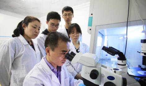 g20峰会_g20带来的收入(2)