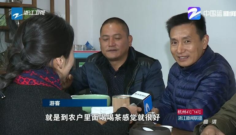 营销渠道_农民收入渠道(2)
