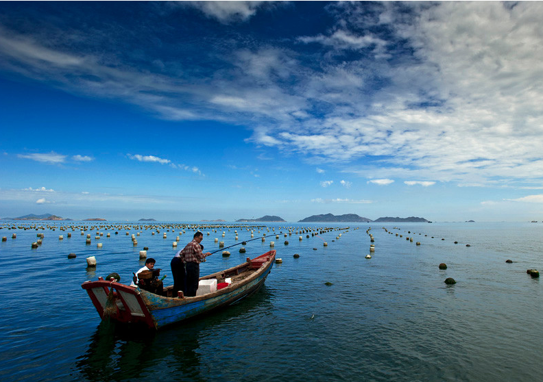 明年3月1日起舟山海钓要持证 休闲活动中垂钓不受限_新蓝网