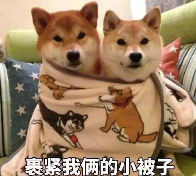 今年将遭遇史上最冷春节?本周杭州天气哇凉哇