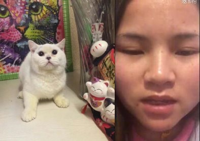 剥猫皮女子录视频道歉:原谅我这个罪人
