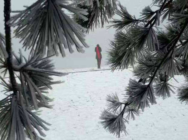 怎么看会不会下雪 392099e85cdd137988b5661ac87f5cd8.jpg