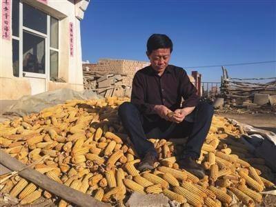 农民收玉米案改无罪 最高法:非法经营罪应慎用