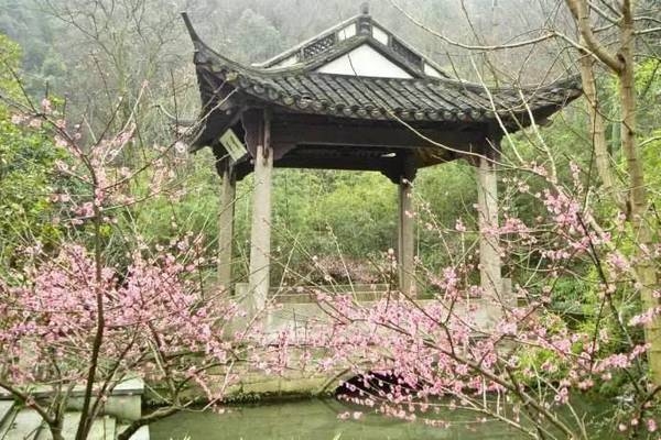杭州下天竺的"三生石"成网红 十里桃花还得再等等