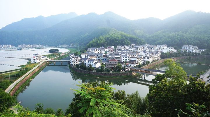 记者探访杭州下姜村:还在招商阶段