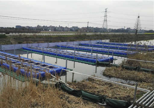 【治国理政新实践·浙江篇】浙江：精准施策 治水装上科技新引擎