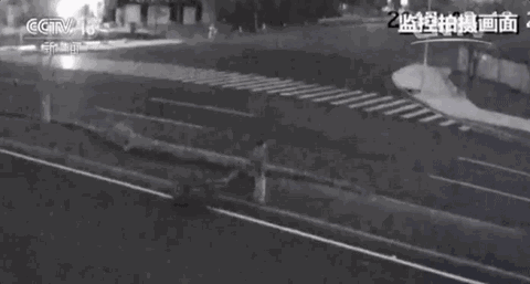 奇葩   这伙贼有