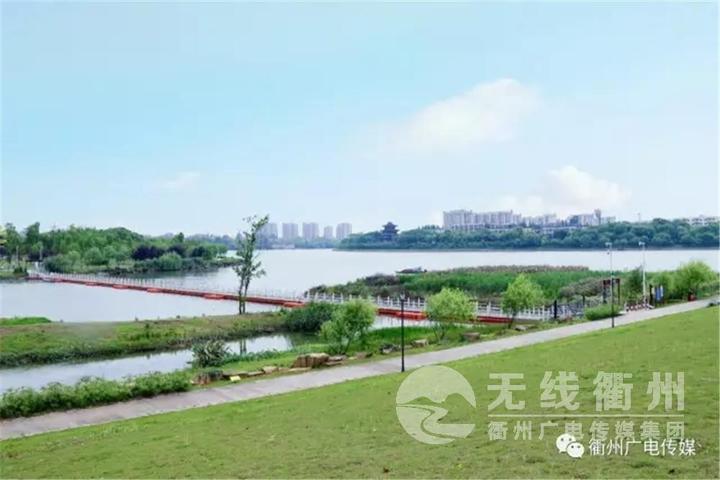 阳光、沙滩、海浪、仙人掌,还有一位老船长记得《外婆的澎湖湾》吗?这首歌曲深深印在了一代人记忆里。在西区也有一个衢州版的澎湖湾,浮桥、碧波、草坪、绿林......环绕信安湖的20万平米绿地,却似乎身在闺中无人识。 在这里,一眼望去全是绿色,无论是过来散步或者烧烤,那都是绝佳首选。 从2016年3月22日起,一座浮桥串起了信安湖环线游。沿着浮桥走,仿佛进入湿地,如果运气好的话还有白鹭、野鸭、水鸟相伴! 现在,市民可以从浮石二桥出发,经徐家坞堤、浮石古渡码头公园、姚家堤、上下埠头堤、衢州职