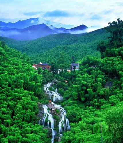 正文 九仰坪自然村,海拔450米,是公认的