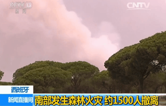 西班牙南部发生森林火灾 约1500人撤离