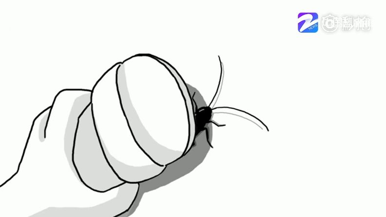 ħ,̫