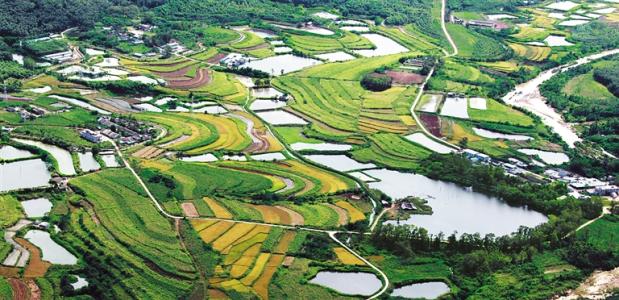 新土地法 聚焦征地矛盾 中国征地制度迎 大变脸