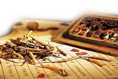 浙江省纪委公开选调公务员 遴选主任科员及以