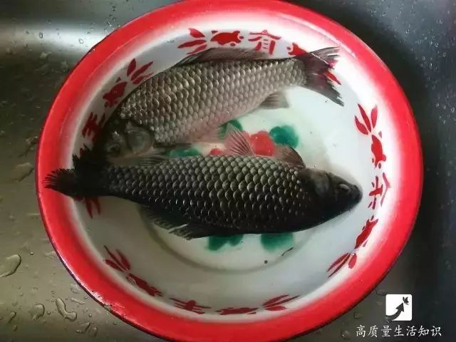 用什么东西刮鱼鳞刮得快 9334722ab14b181277f490893061e04e.jpg