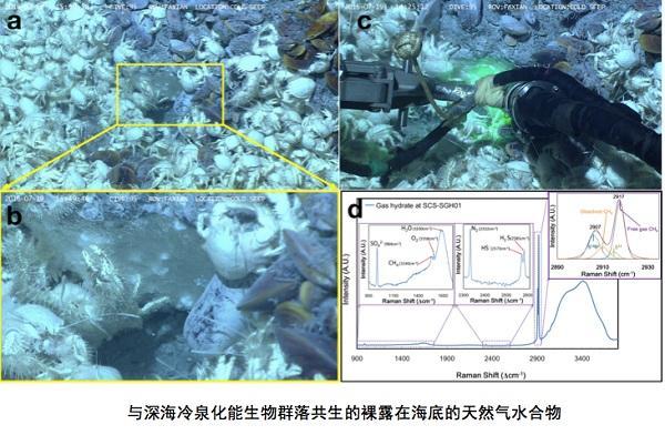 我国科学家首次在南海海域发现裸露"可燃冰"