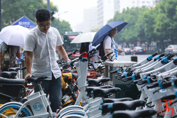 共享电动车  杭州街头亮相的共享电动车。张孙超 摄.jpg