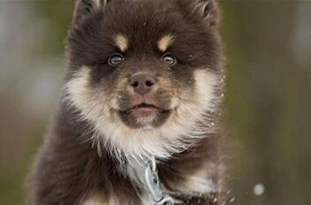 EXO伯贤拍感情戏 笑言不怕女友泰妍吃醋(图)