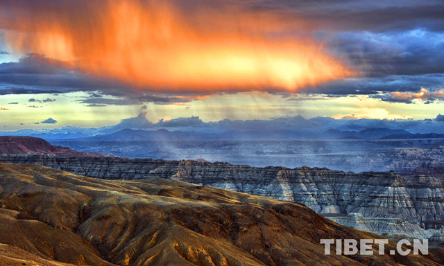 《中国新歌声》:低调组合《平凡之路》VS郑迦