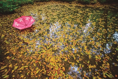 台风 卡努 影响杭州 萧山、大江东将会风大雨大
