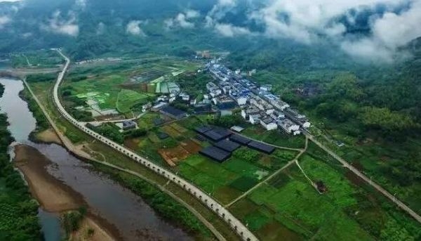 德国学者:中国为其他国家的经济发展提供了范