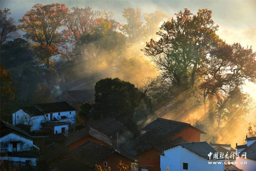 "最美乡村"江西婺源古村晨雾胜景如画