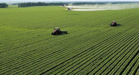 中国耕地轮作休耕试点面积达1200万亩 涉及9