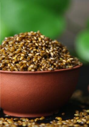 源自古老秦川山脉的稀少谷物--黑金谷