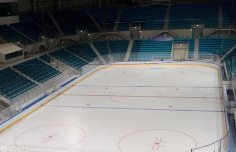 韩青瓦台成立平昌冬奥会专项工作组 检查筹备