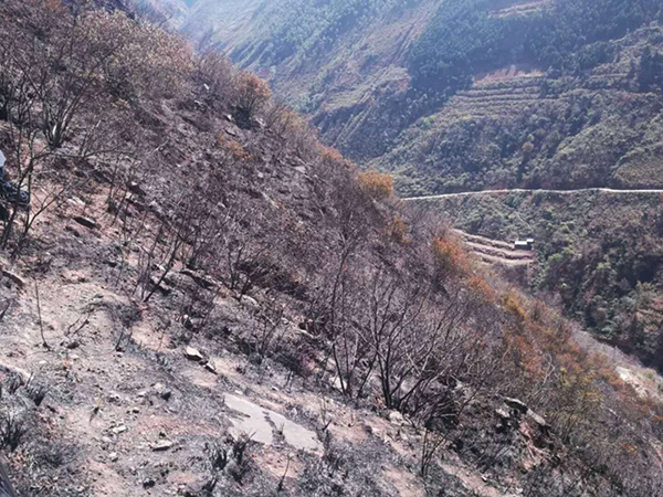 云南巧家返乡大学生除夕救火身亡:出事前刚办