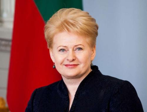 立陶宛总统:欧盟诚员国蒋对俄采取国家层面措