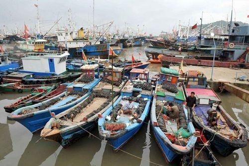 东海今起进入禁渔休渔期 海鲜价格要涨一涨了