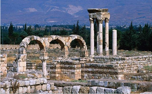 雪松GDp_雪松图片