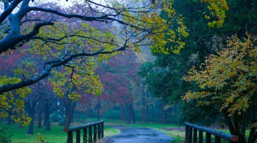 适合旅行拍照的相机 佳能带你感受不一样的意