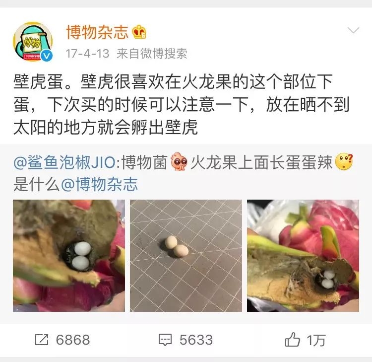 杭州网友吃火龙果发现2颗蛋!放到阴凉处还会有
