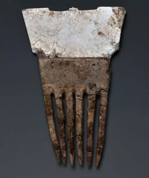 今年最值得期待的展览来啦!100件宝贝揭秘你不