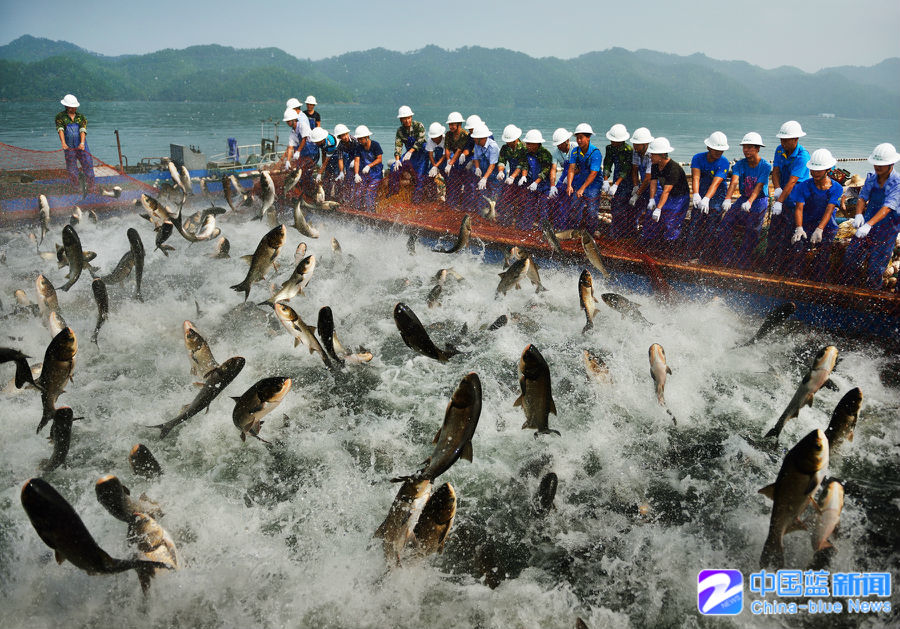 北海道渔场在哪里 北海道渔场在哪个国家 北海道渔场怎么去