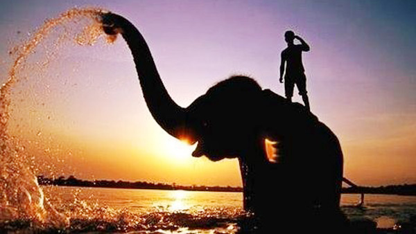 浙商闯荡东南亚 中国产品在这里很吃香