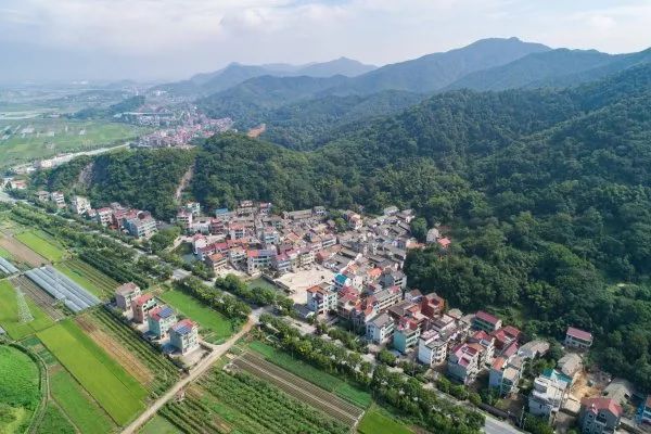 改革开放40年 一组老照片带你领略诸暨的前世今生!