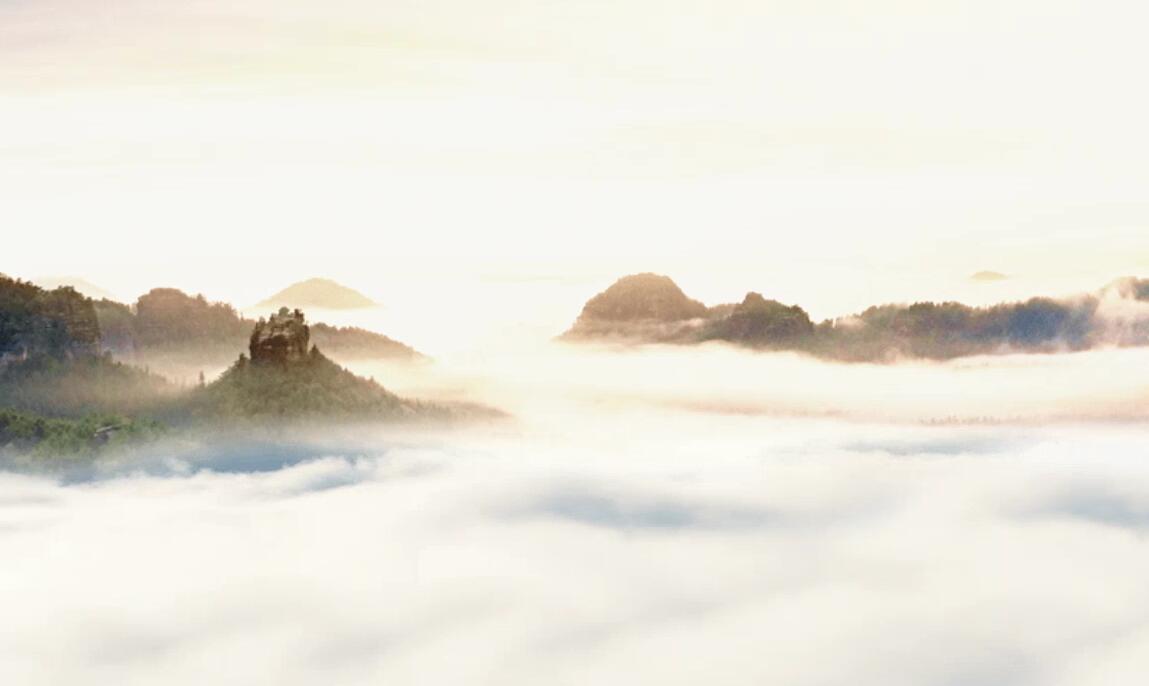 深度调查《他们为何加码中国》