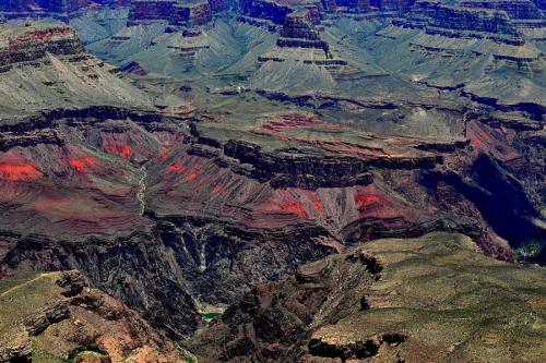 美国政府关门 多座国家公园垃圾成灾