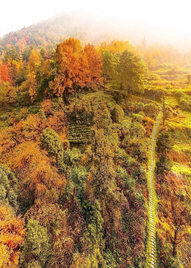 2019浙个最美旅行日历出炉 每个月的风景都让